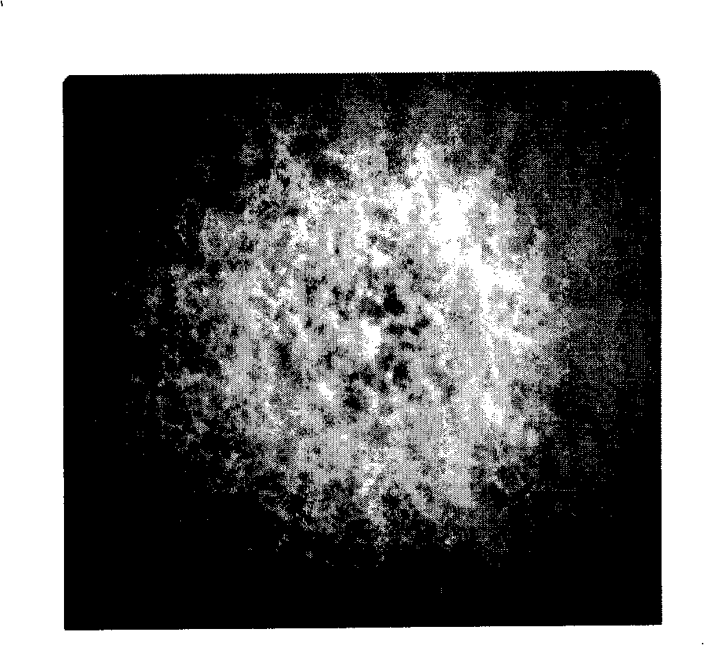 Trichoderma viride engineering bacterium and uses thereof