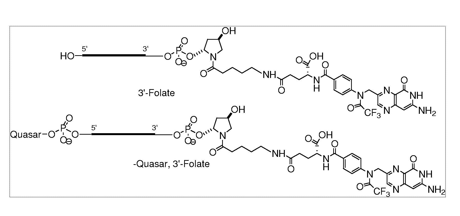 Folate conjugates