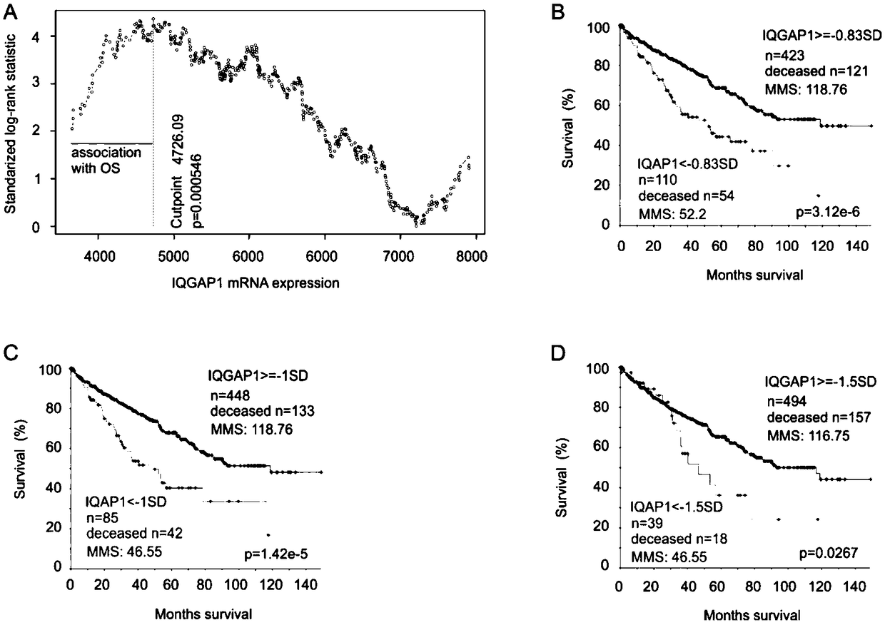 Biomarker and method for predicating relapse and mortality risk of renal cell carcinoma