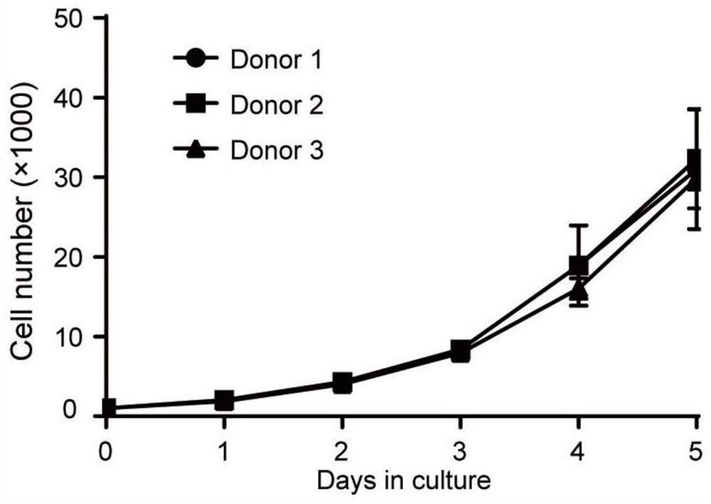 Primary hepatocyte-derived liver precursor-like cell model, preparation method and application for hepatitis B virus infection