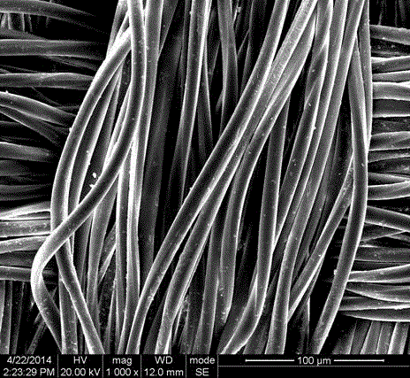 Chemical plating activation process for fabric by using supercritical carbon dioxide fluid