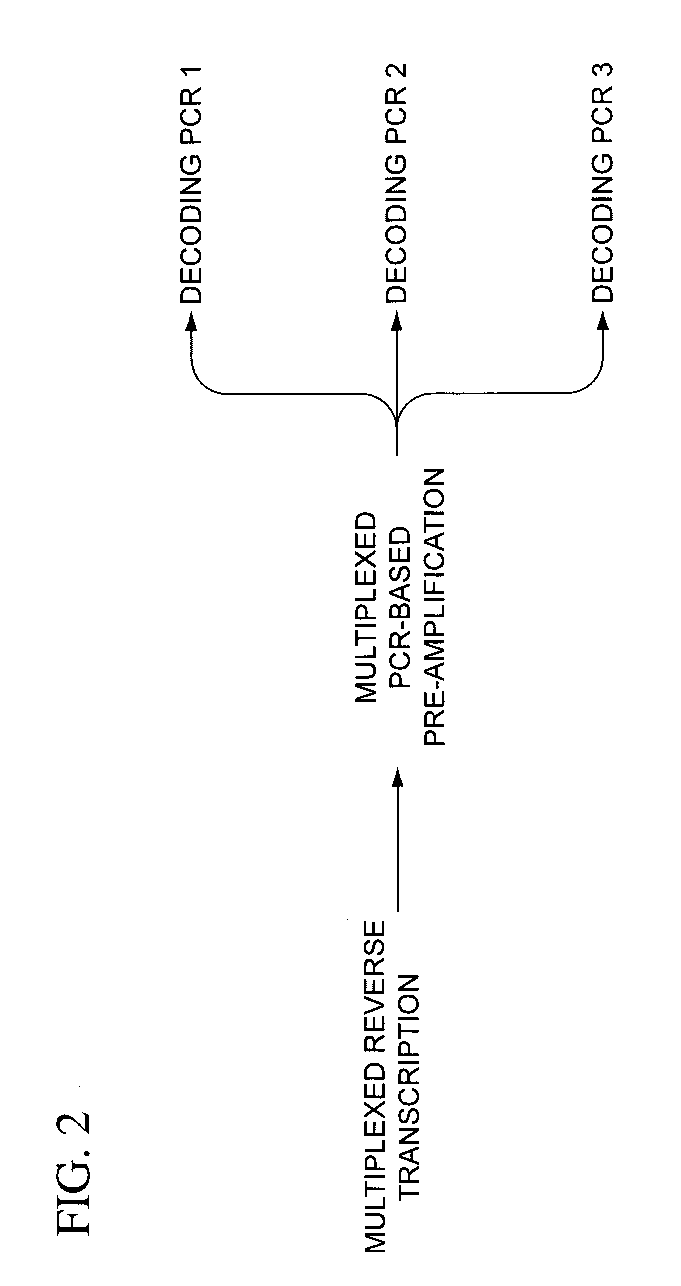 Multiplexed amplification of short nucleic acids