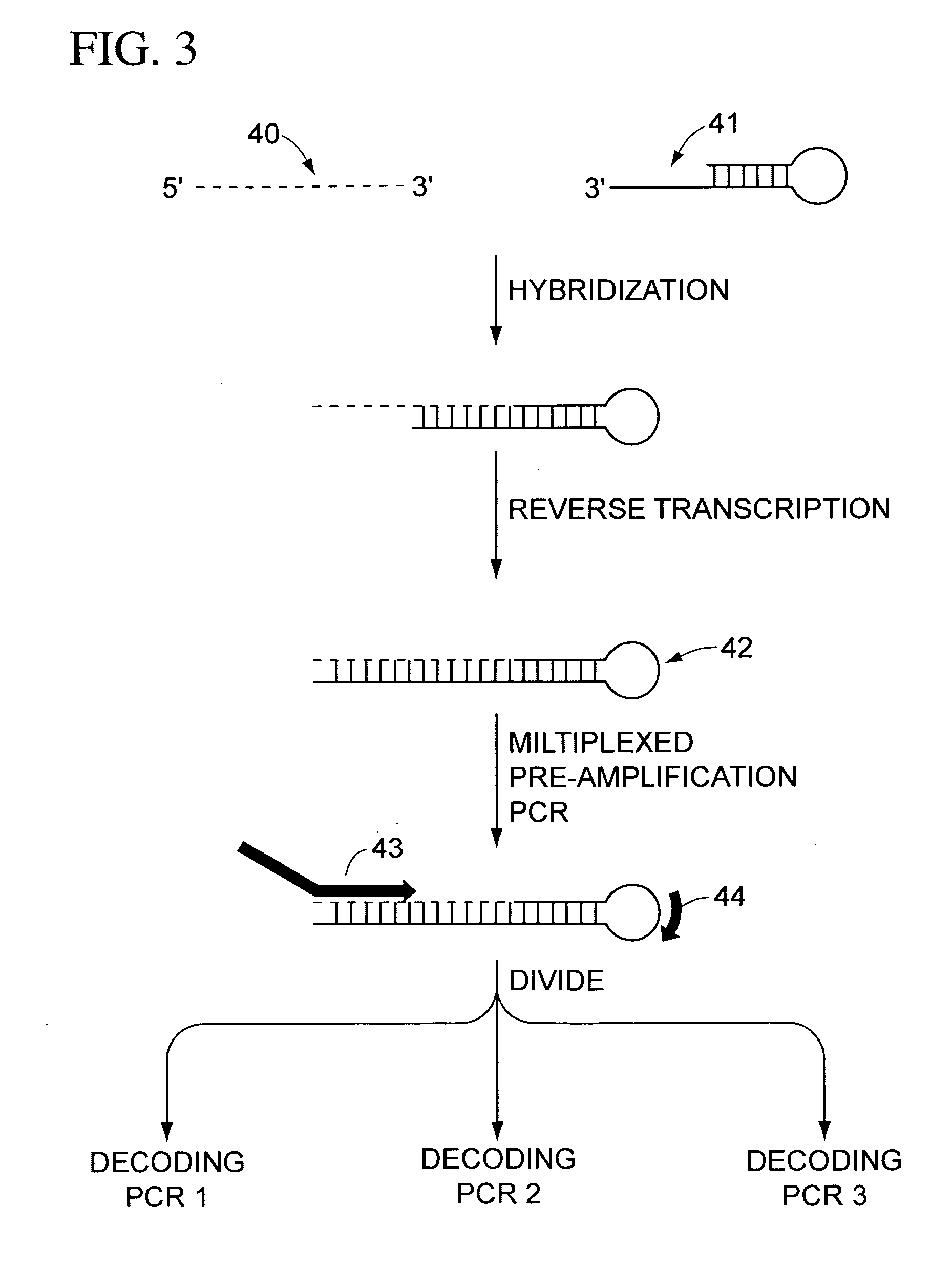 Multiplexed amplification of short nucleic acids