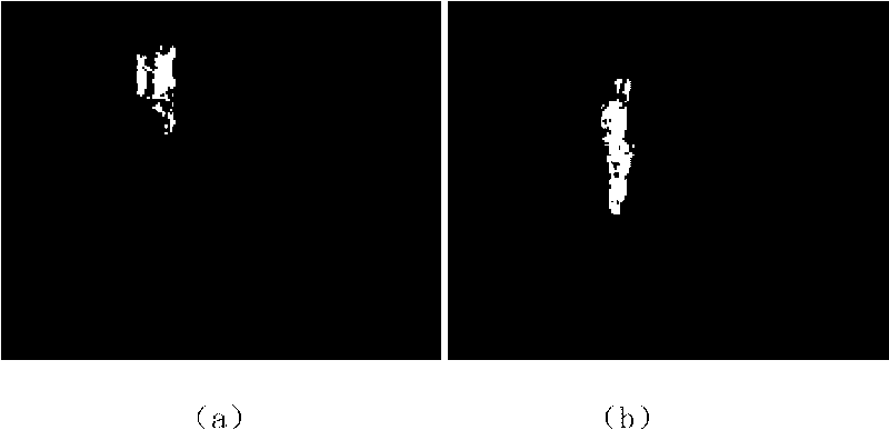 High-resolution region-of-interest image acquisition method of PTZ camera