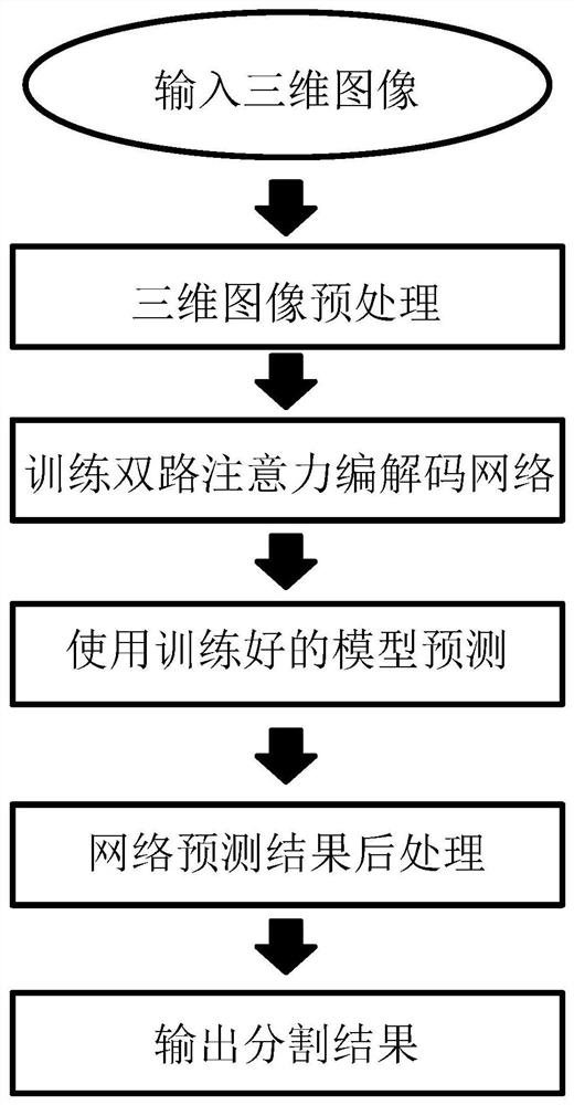 Three-dimensional image segmentation method based on double-path attention coding and decoding network