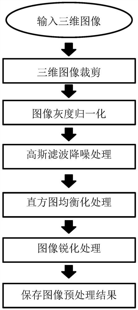 Three-dimensional image segmentation method based on double-path attention coding and decoding network