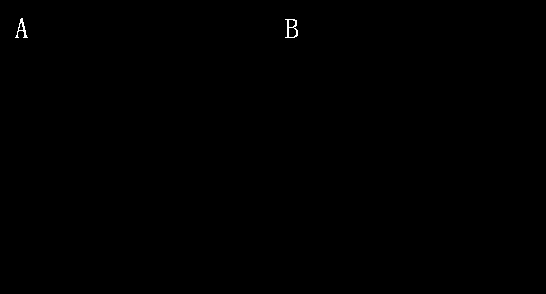 Carbon-based bio-organic fertilizer and preparation method and application thereof