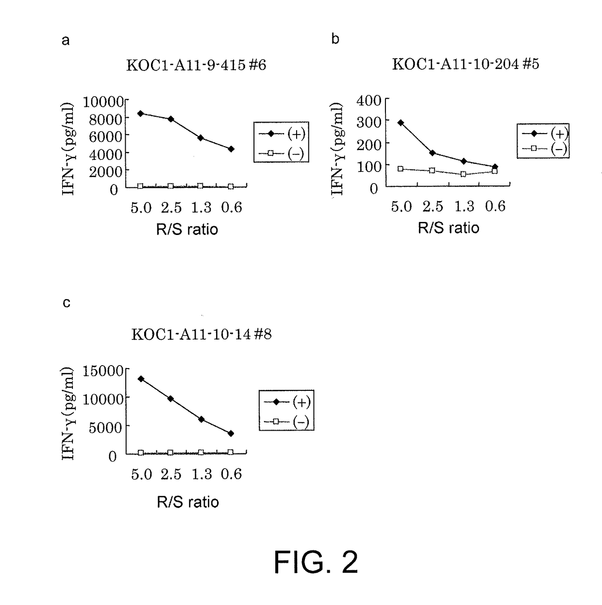 Koc1-derived peptide and vaccine including same