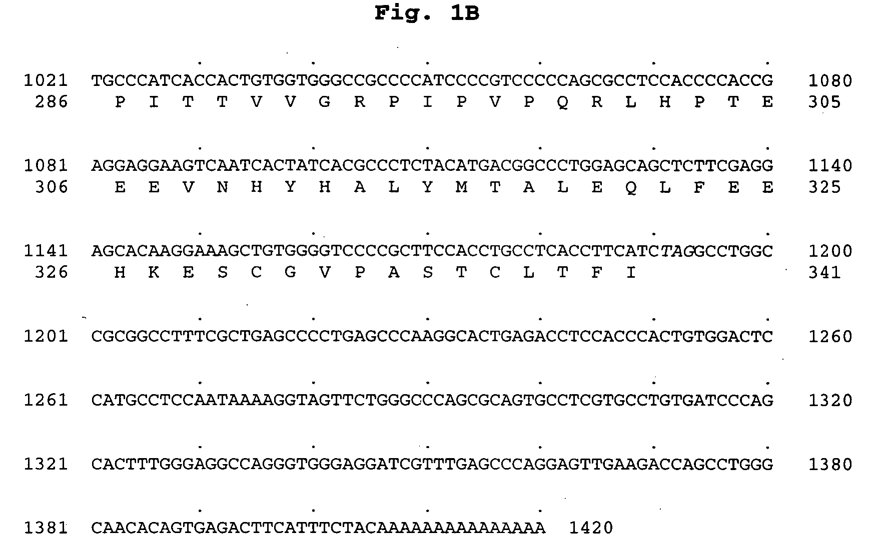 Polynucleotide encoding a novel acyl coenzyme a, monoacylglycerol acyltransferase-3 (MGAT3), and uses thereof