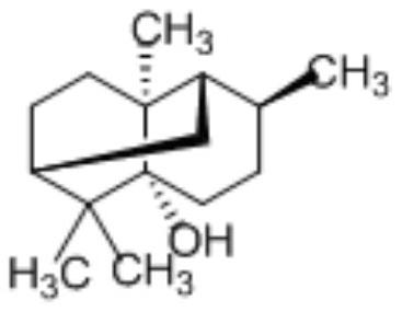 Use of bucchiol in the preparation of endothelium-independent vasodilators