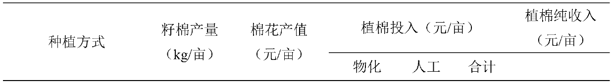 Cotton-garlic double-cropping simplified cultivation method