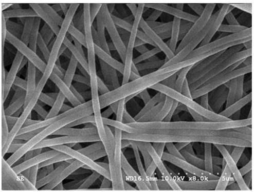 A kind of composite nanofiber and preparation method thereof