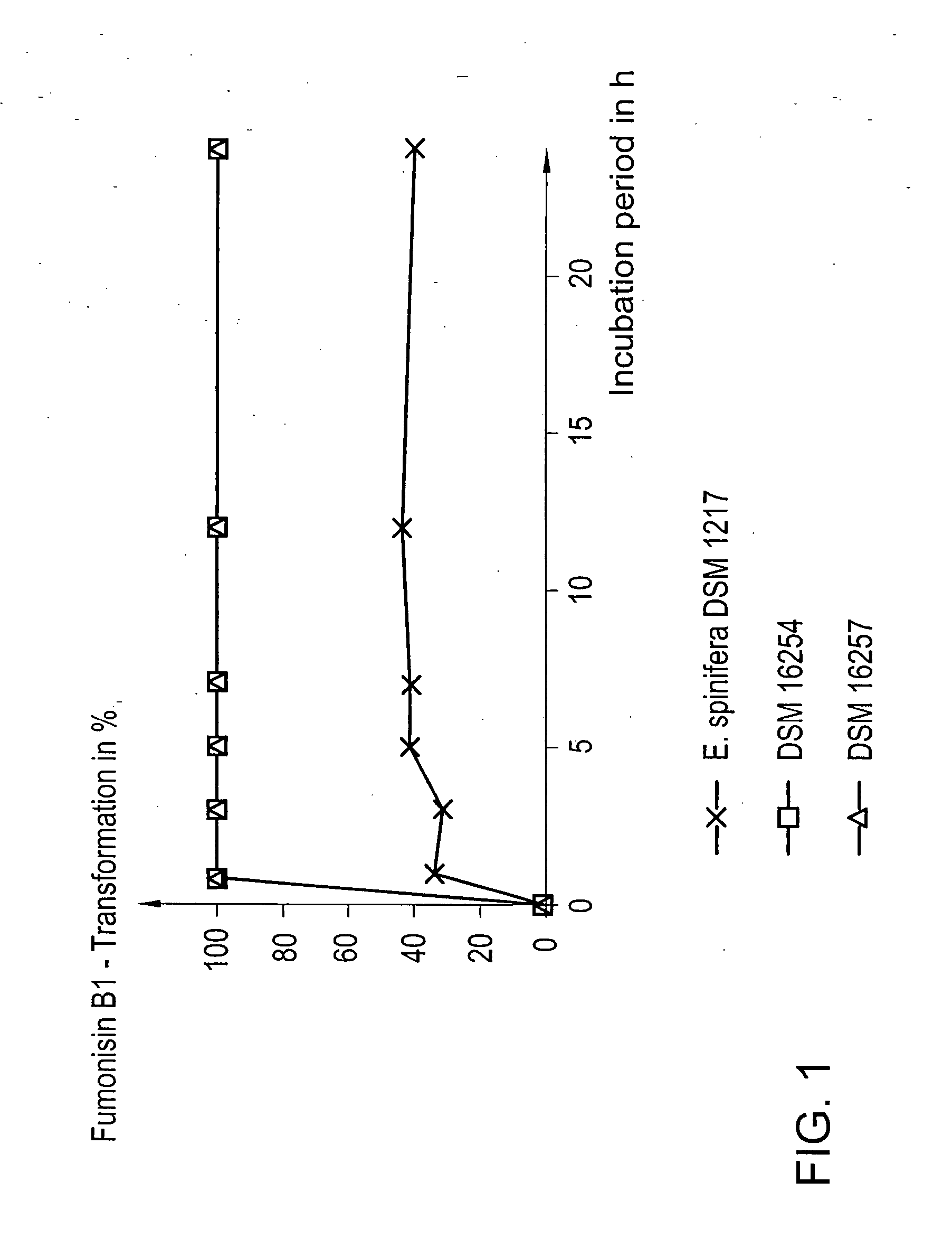 Micro-organism for decontaminating fumonisins and its use, method for decontaminating fumonisins, and feed additive containing said micro-oragnism