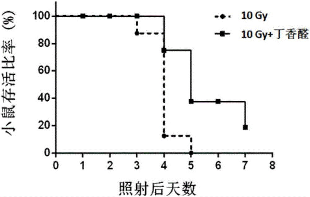 Application of syringaldehyde to preparation of medicine for preventing intestinal injuries caused by ionizing radiation