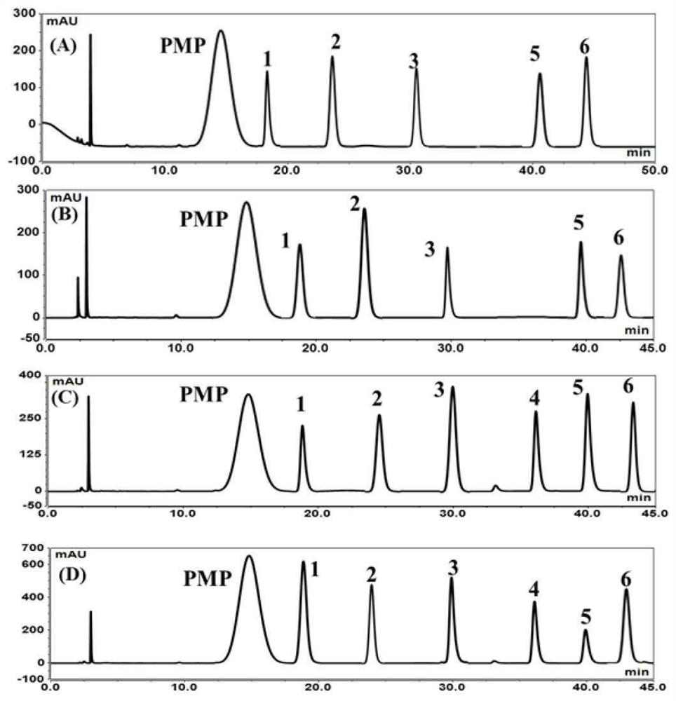 Application of Talinum paniculatum (Jacq.) Gaertn. polysaccharide on aspect of accelerating dissolving of baicalin in water, and method