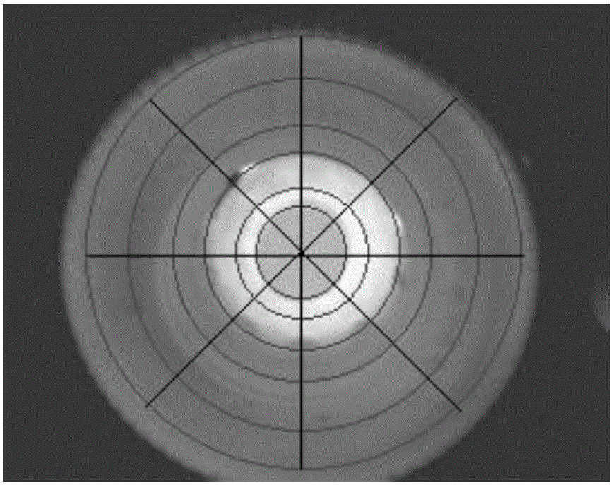 Hub temperature anomaly detection and early warning method and system