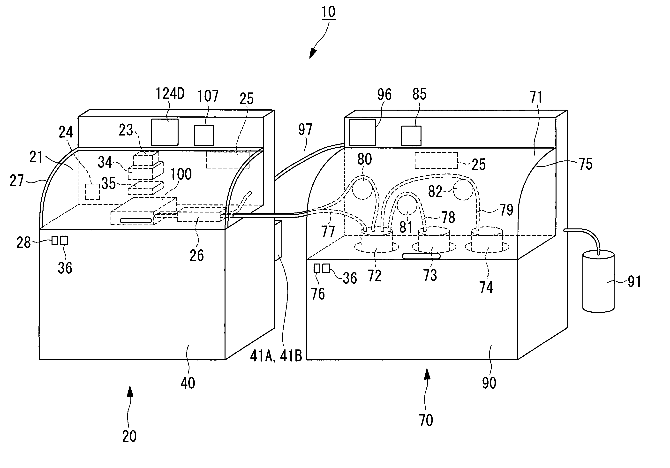 Biological sample observation system and biological sample observation method