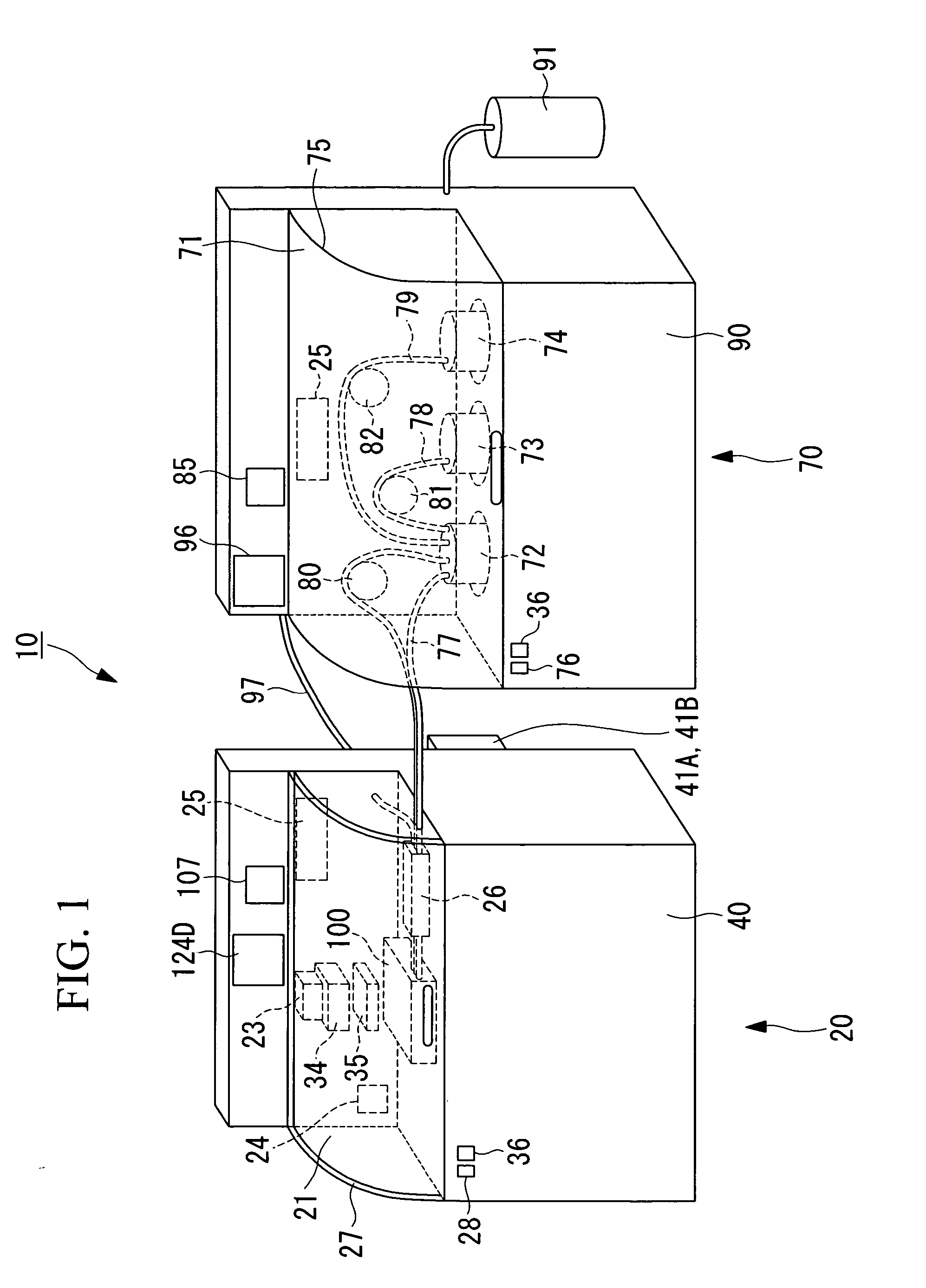 Biological sample observation system and biological sample observation method