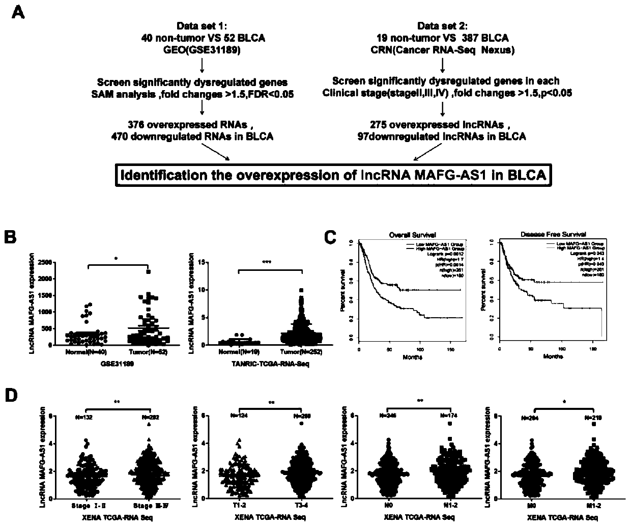 Application of detection reagent with MAFG-AS1 as target site to preparation of drugs for treating bladder cancer