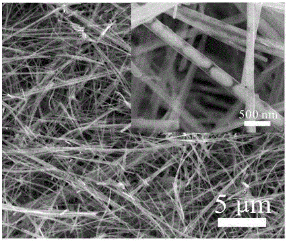 Carbon-coated vanadium trioxide nanowire thin film with pod structure and preparation method of carbon-coated vanadium trioxide nanowire thin film with pod structure