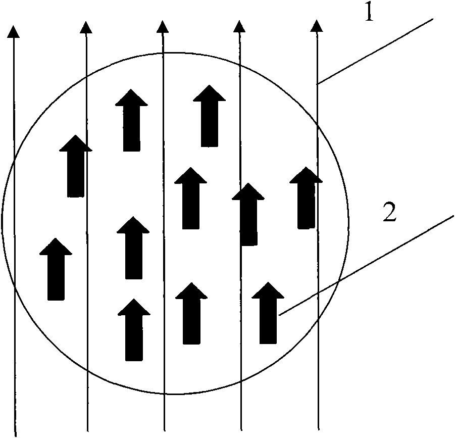 Preparation method of spherical catalyst carrier with magnetic anisotropy