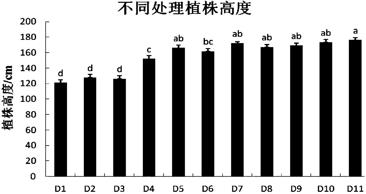 High-quality apple dwarf interstock seedling propagation method