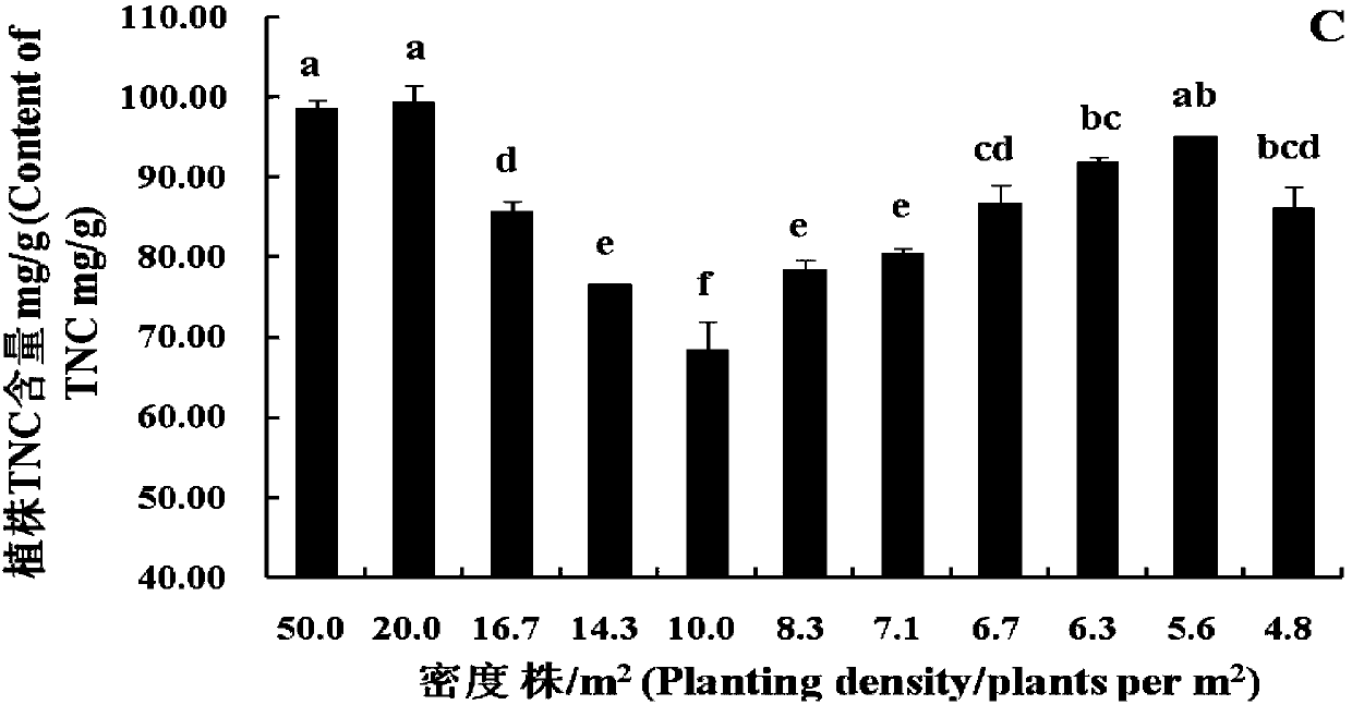 High-quality apple dwarf interstock seedling propagation method