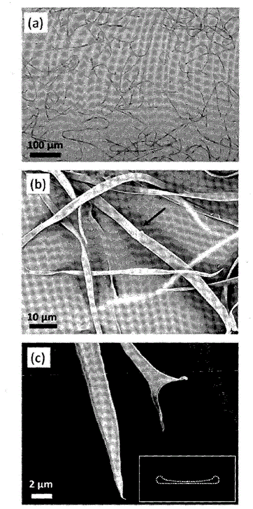 Fiber-reinforced hydrogel composites and methods of forming fiber-reinforced hydrogel composites