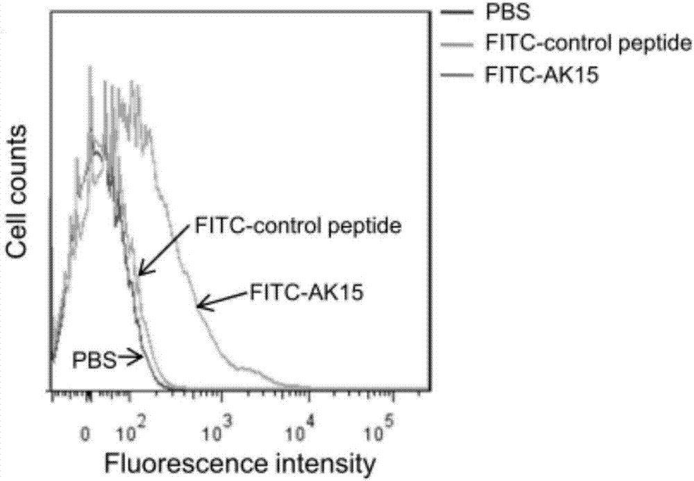 Micro-molecule polypeptide and application thereof