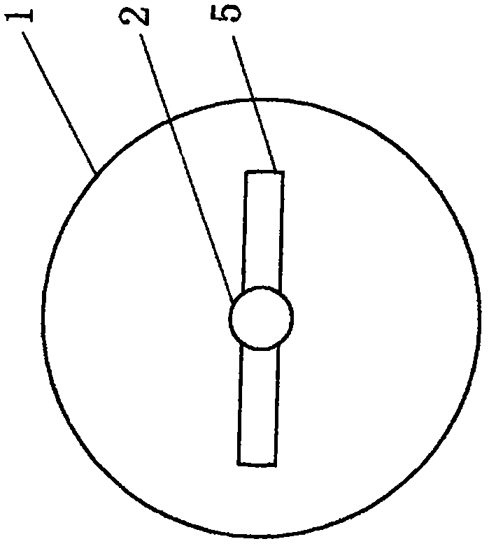 Cervical amniotic membrane support