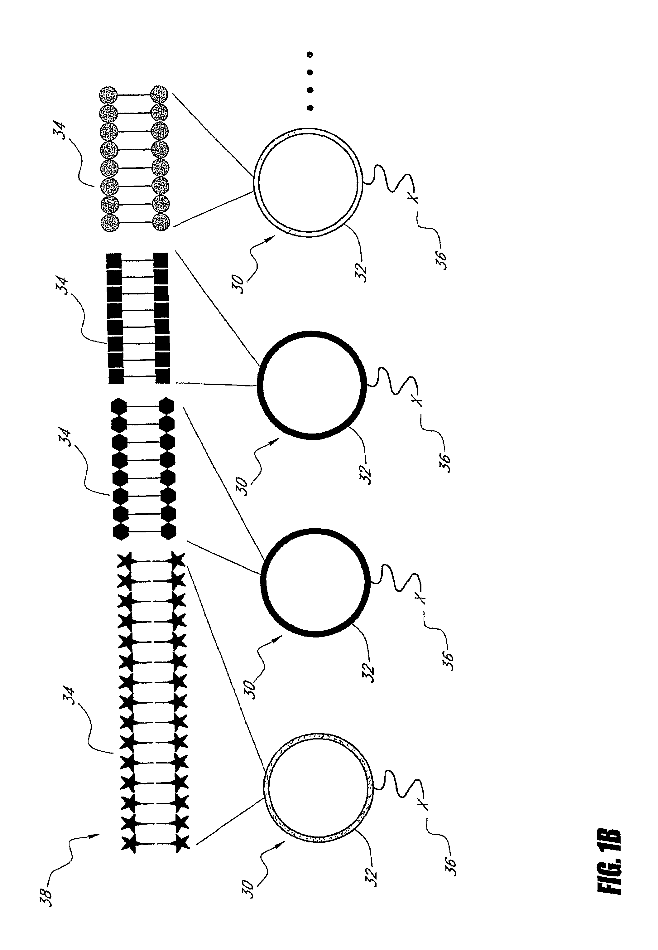 Multiplex detection probes