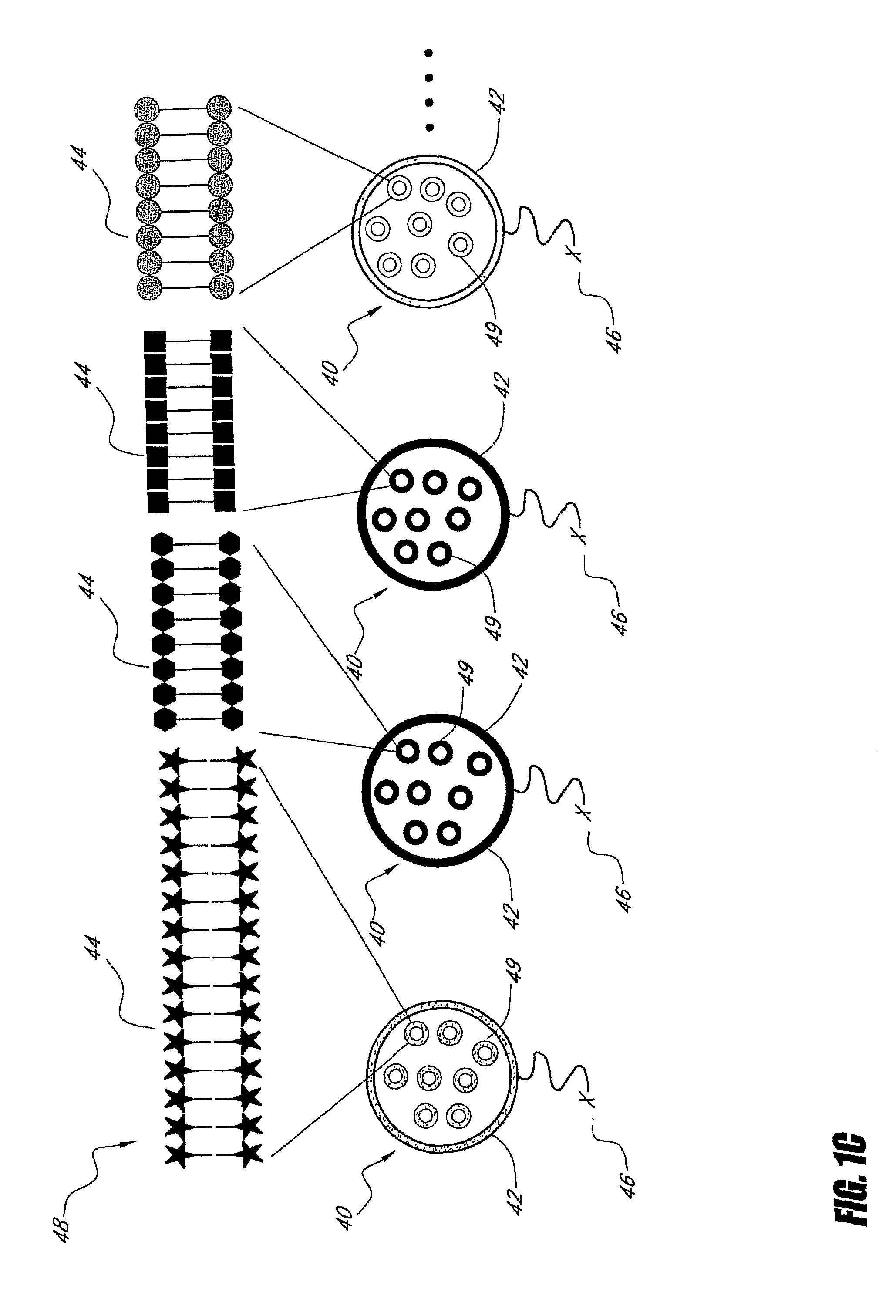 Multiplex detection probes