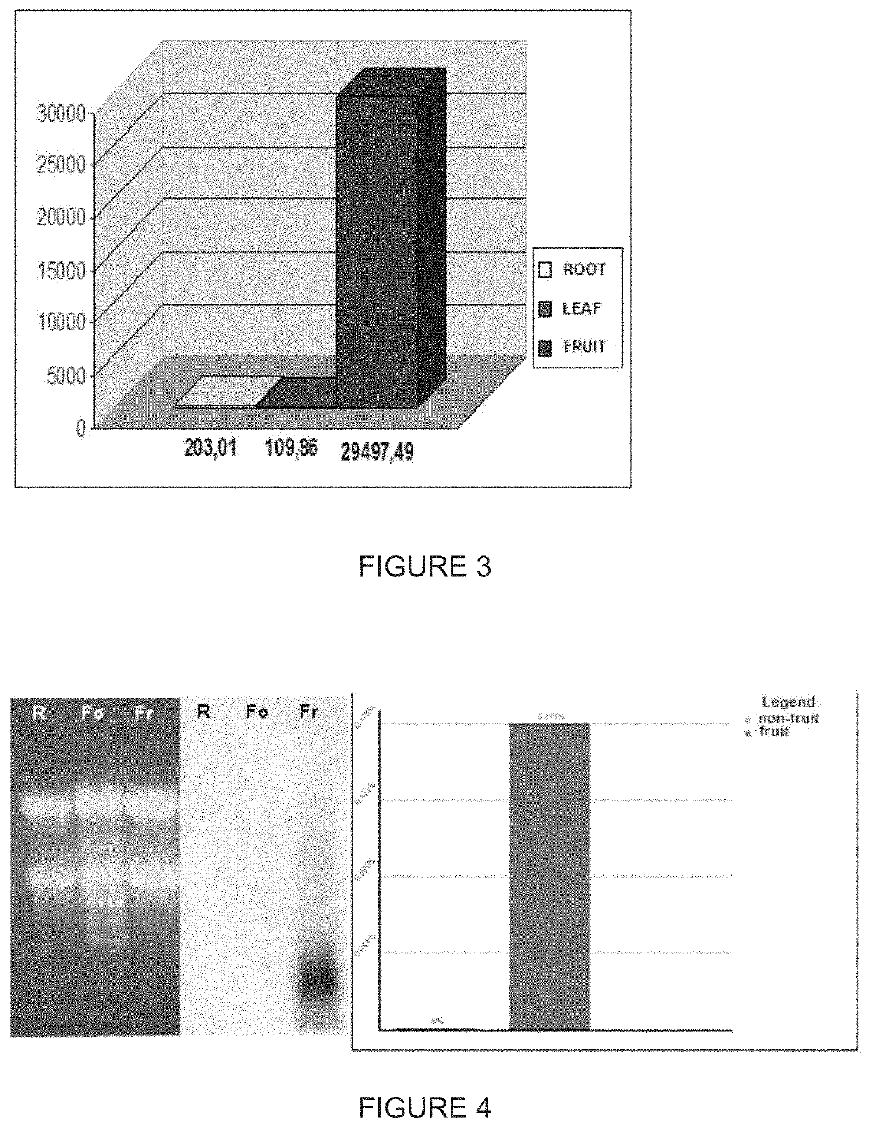 Endosperm-specific promoter from the lipid transfer protein 1 gene of <i>Coffea arabica </i>