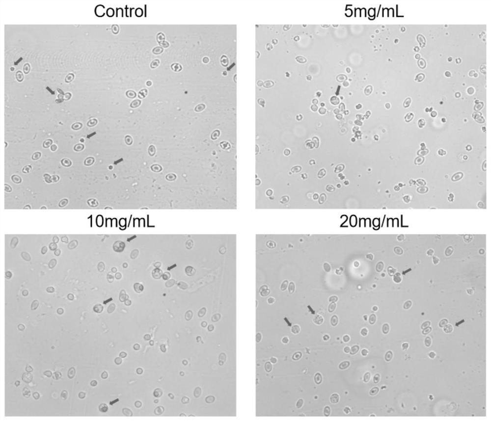 A kind of PD-1/PD-L1 inhibitor and application thereof