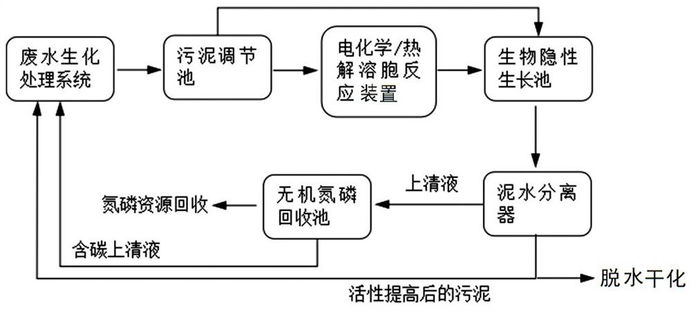 Treatment method and special equipment for sludge reduction, resource utilization and activity improvement