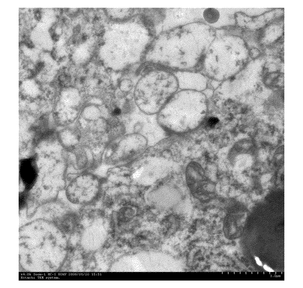 Method for Modulating MicroRNA Content in Living Beings and the Use Thereof