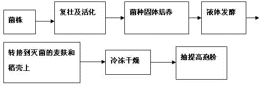 Isaria fumosorosea and abamectin oil suspension agent as well as preparation method and application thereof