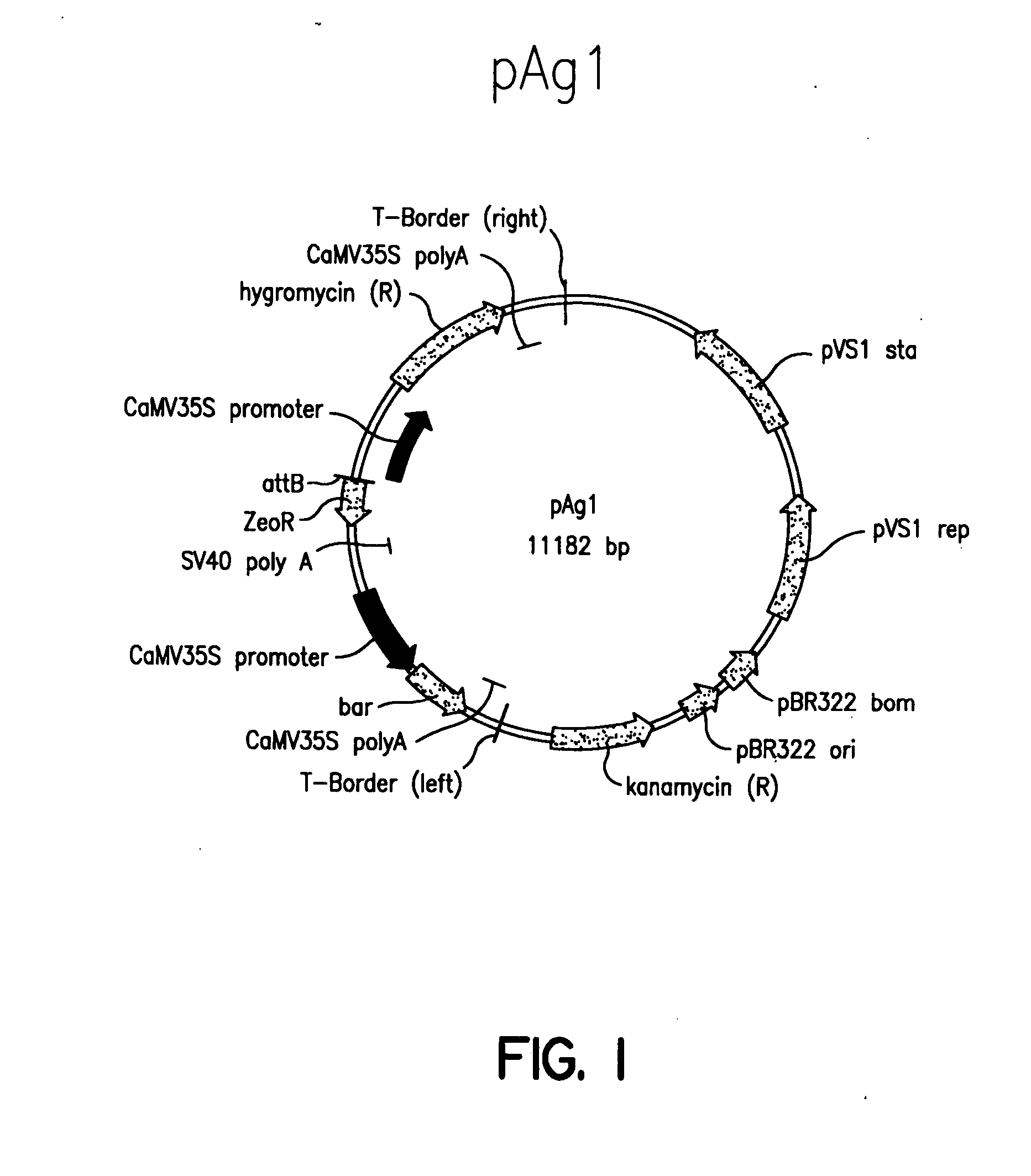 Plant artificial chromosomes, uses thereof and methods of preparing plant artificial chromosomes