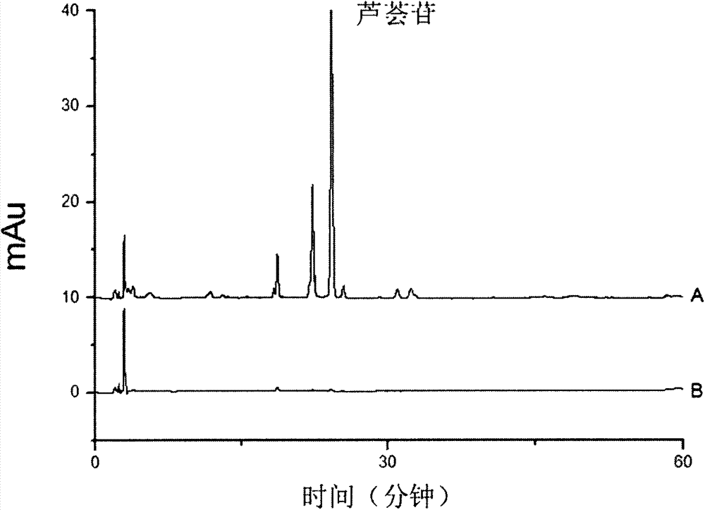 Method of removing barbaloin in processing process of aloe gel dices