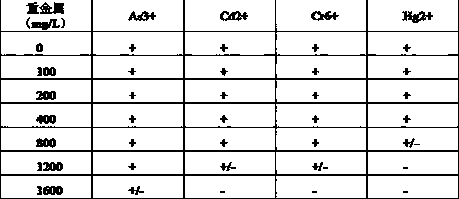 An Antimony-resistant Bacteria nxh1 and Its Application