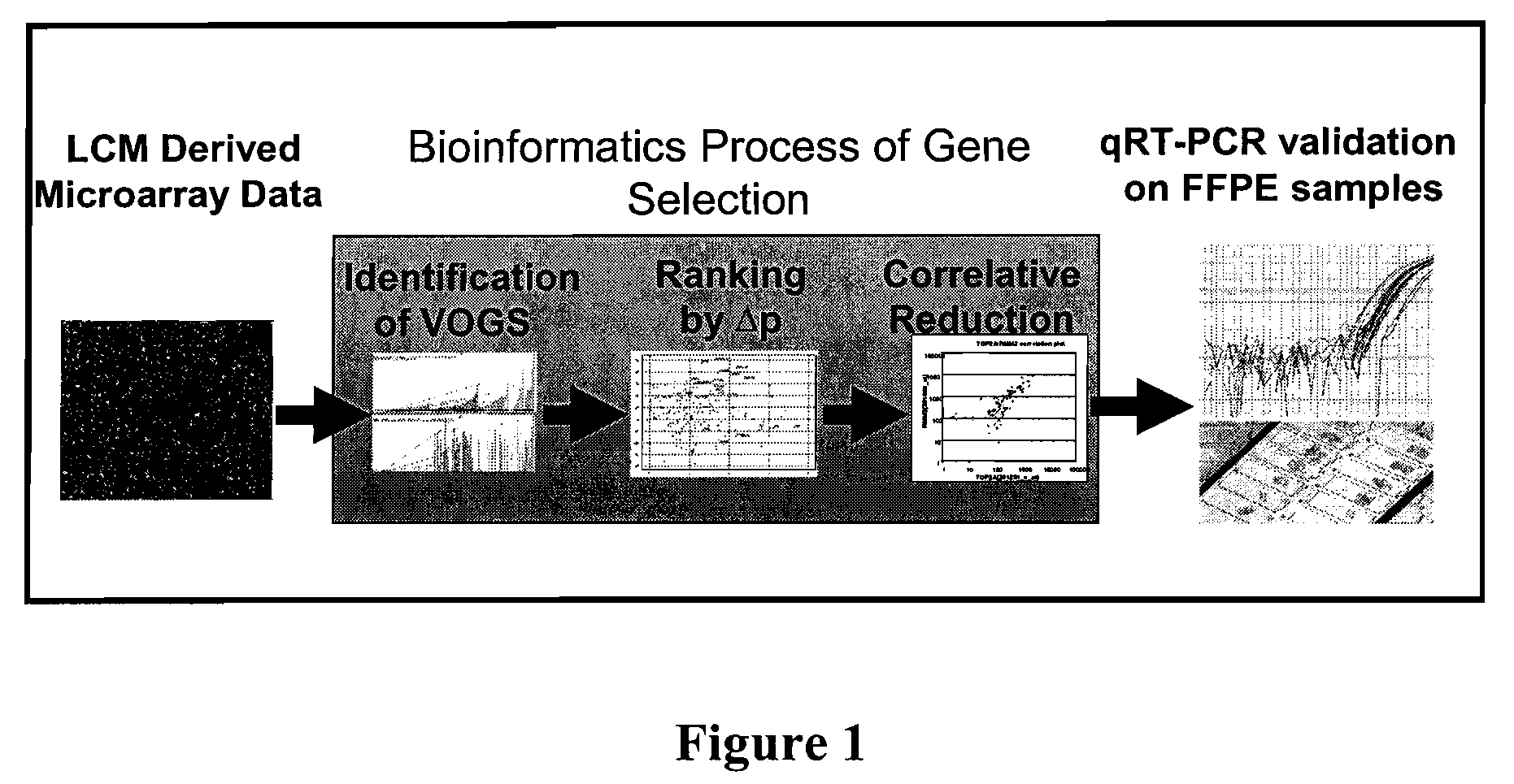 Predicting cancer outcome