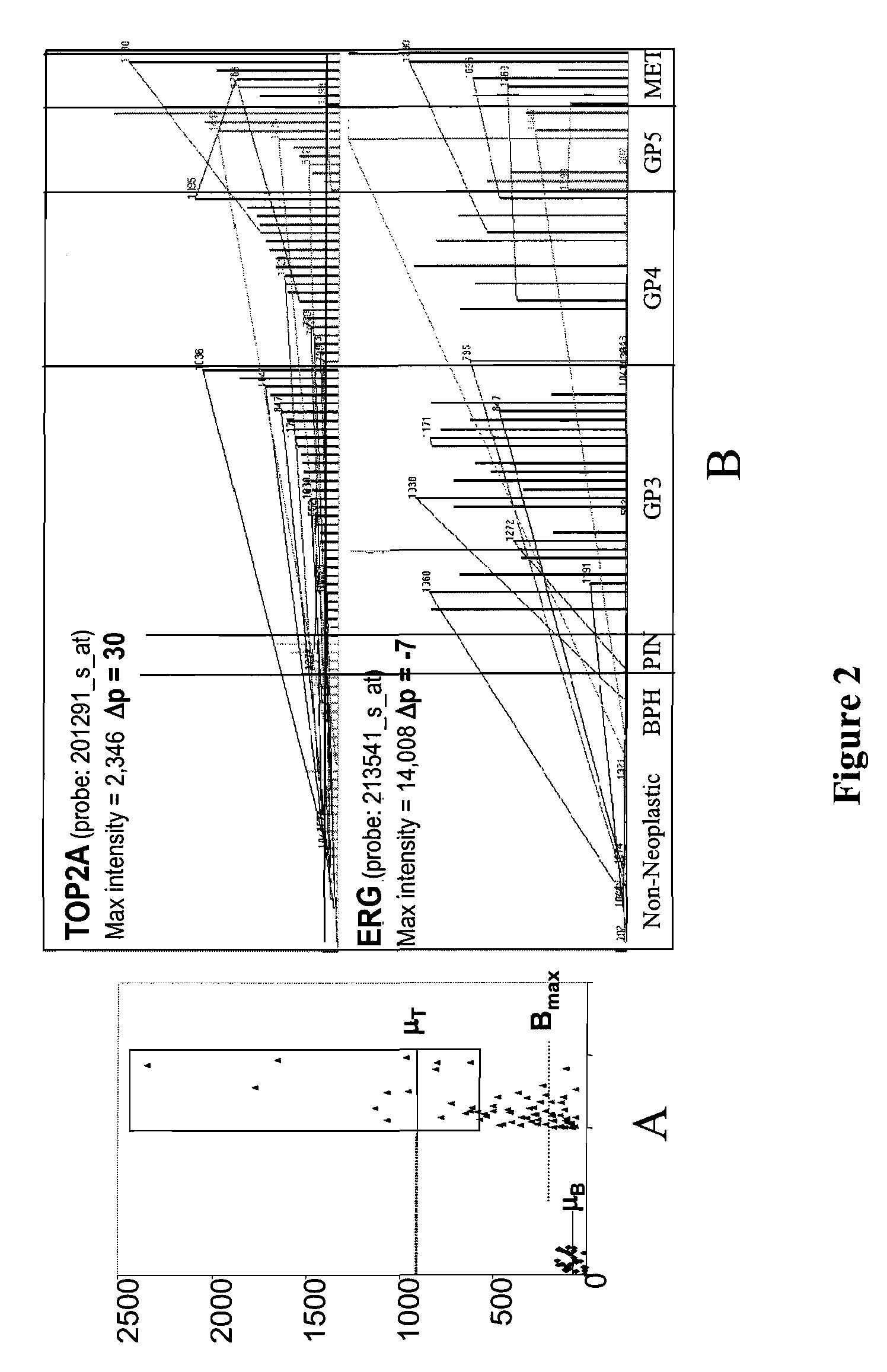 Predicting cancer outcome