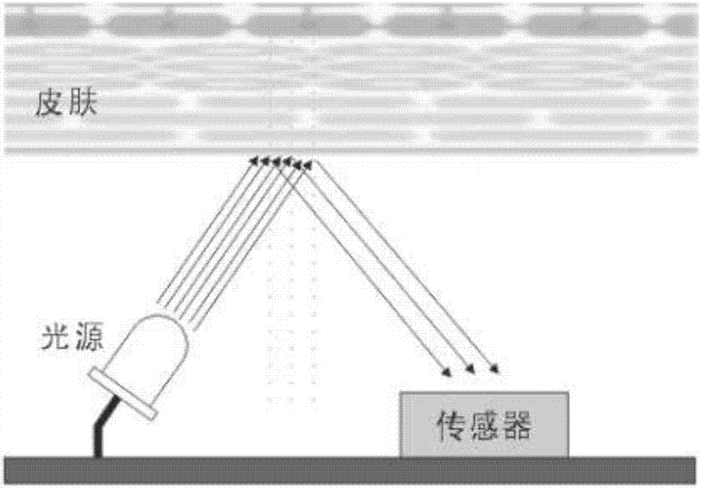 Skin sun protection factor intelligent detection device and usage method thereof