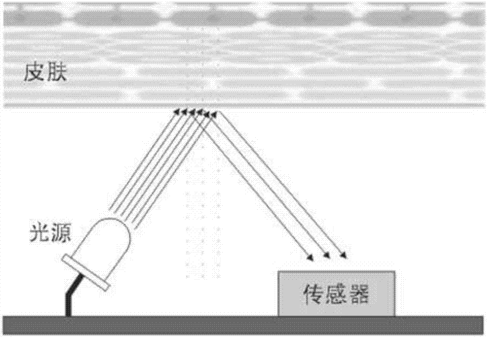 Skin sun protection factor intelligent detection device and usage method thereof