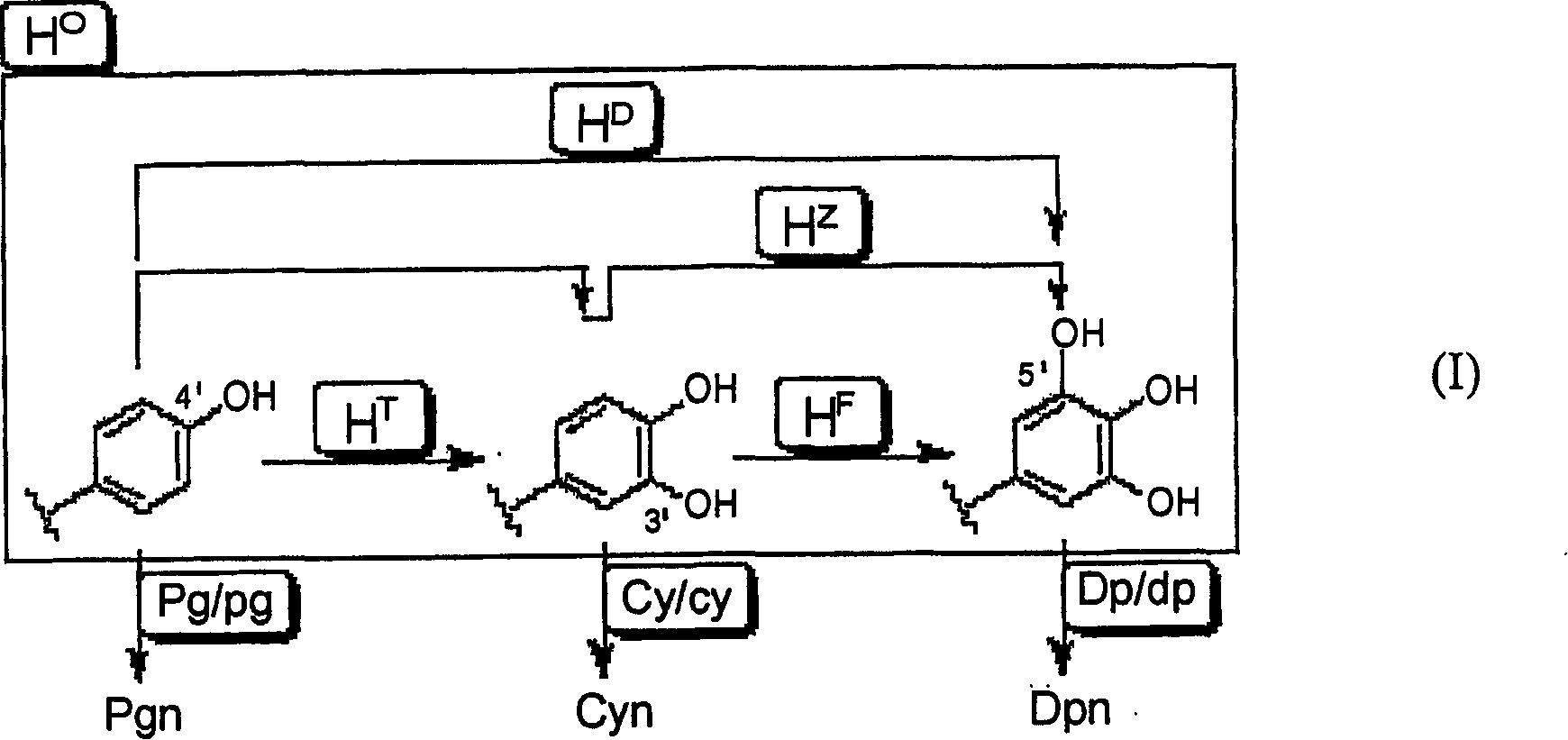 Method of crossing flower color genotypes