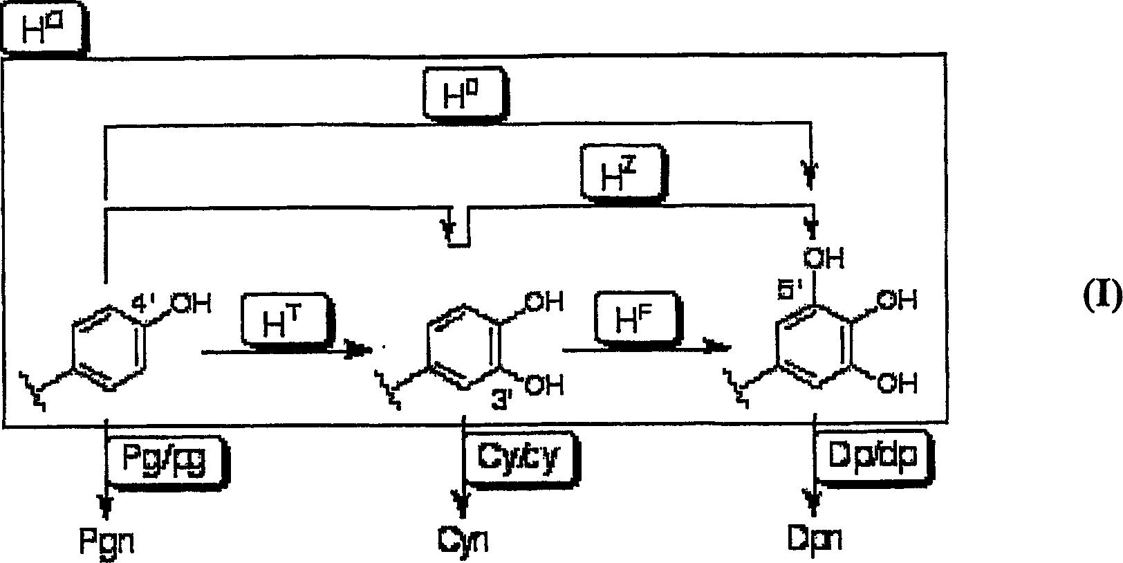 Method of crossing flower color genotypes