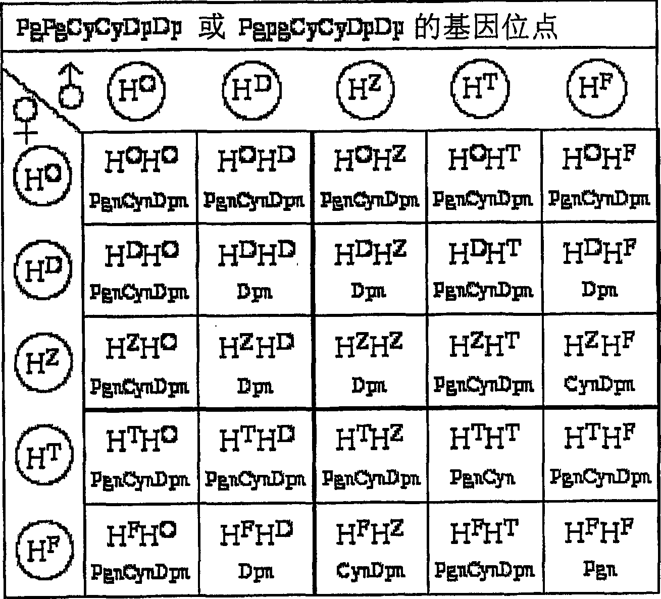 Method of crossing flower color genotypes