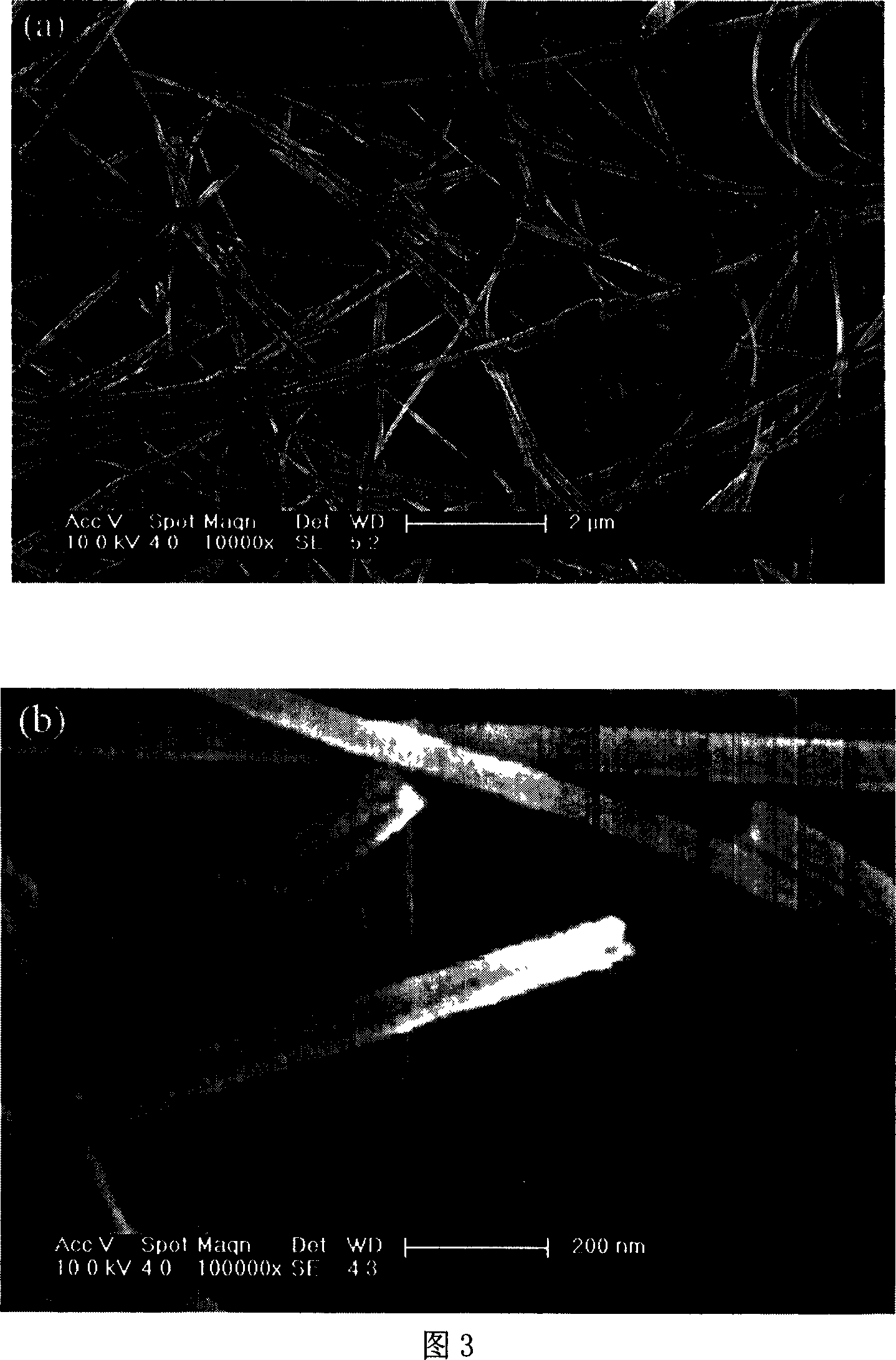 Method for preparing chrysotile nano fiber