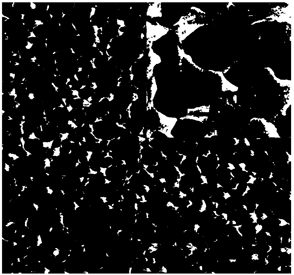 Long-acting sustained-release cardiovascular coating material integrating double functions of resisting calcification and hyperplasia and preparation method of long-acting sustained-release cardiovascular coating material