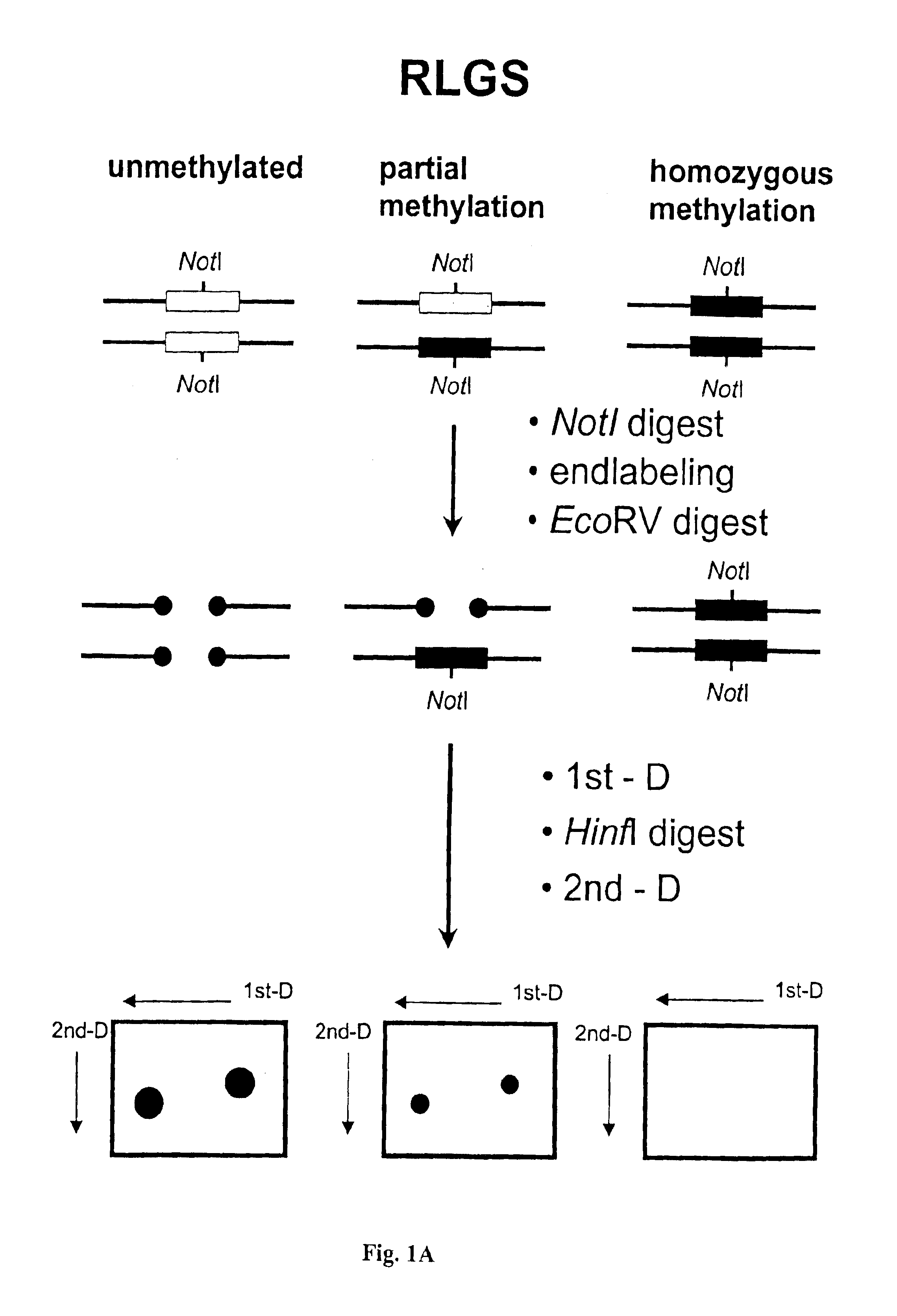 Detection of methylated CpG rich sequences diagnostic for malignant cells